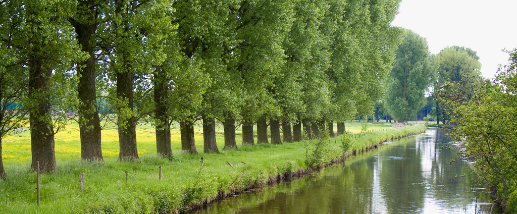 080512-033 | Europa, DEU, Deutschland, Nordrhein Westfalen, NRW, Rheinland, Niederrhein, Wachtendonk, Landschaft, Flusslandschaft, Aue, Auenlandschaft, Die Niers, Baeume, Pappeln, Typische Pappelreihen, Fruehling, Boot, Kanufahrer, Kategorien und Themen, Natur, Umwelt, Landschaft, Jahreszeiten, Stimmungen, Landschaftsfotografie, Landschaften, Landschaftsphoto, Landschaftsphotographie, Tourismus, Touristik, Touristisch, Touristisches, Urlaub, Reisen, Reisen, Ferien, Urlaubsreise, Freizeit, Reise, Reiseziele, Ferienziele[Fuer die Nutzung gelten die jeweils gueltigen Allgemeinen Liefer-und Geschaeftsbedingungen. Nutzung nur gegen Verwendungsmeldung und Nachweis. Download der AGB unter http://www.image-box.com oder werden auf Anfrage zugesendet. Freigabe ist vorher erforderlich. Jede Nutzung des Fotos ist honorarpflichtig gemaess derzeit gueltiger MFM Liste - Kontakt, Uwe Schmid-Fotografie, Duisburg, Tel. (+49).2065.677997, archiv@image-box.com, www.image-box.com] - Realisiert mit Pictrs.com