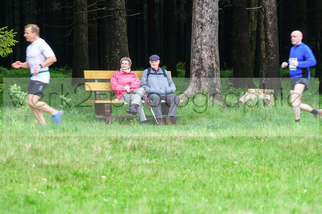 Rennsteiglauf 2017 | Neuhaus/Rwg. - Schmiedefeld am 19. Mai 2017