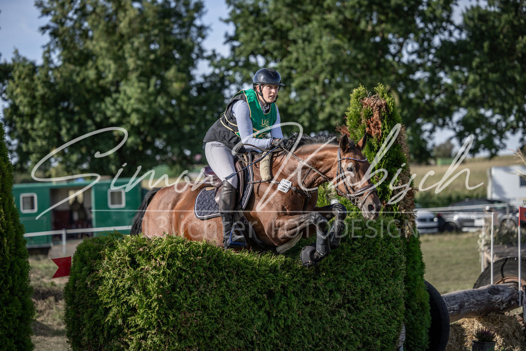 20250907-_3LI3739 | Tierfotografie Pferde, Hunde, Katzen, Haustiere.
Turnierfotografie Reitturniere, Reiten, Springreiten, Dressur in Hanau, dem Main-Kinzig-Kreis und dem Rhein-Main- Gebiet um Frankfurt