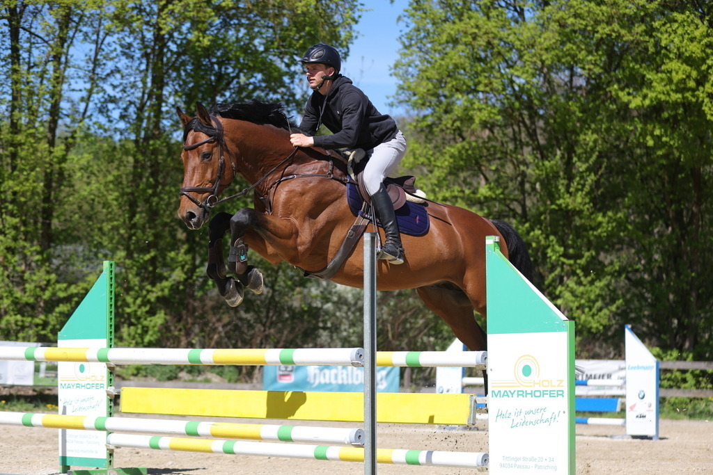 0P6A8145 | Willkommen bei Brunnmayr - Design & Fotografie – Ihrem Spezialisten für Reitturniere und Pferdeveranstaltungen in Oberösterreich, Salzburg und Bayern! Seit über 17 Jahren sind wir leidenschaftlich dabei.