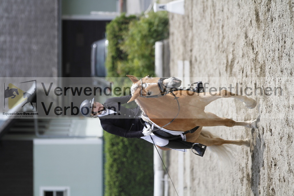 _MG_8777 | equestrian-live-com