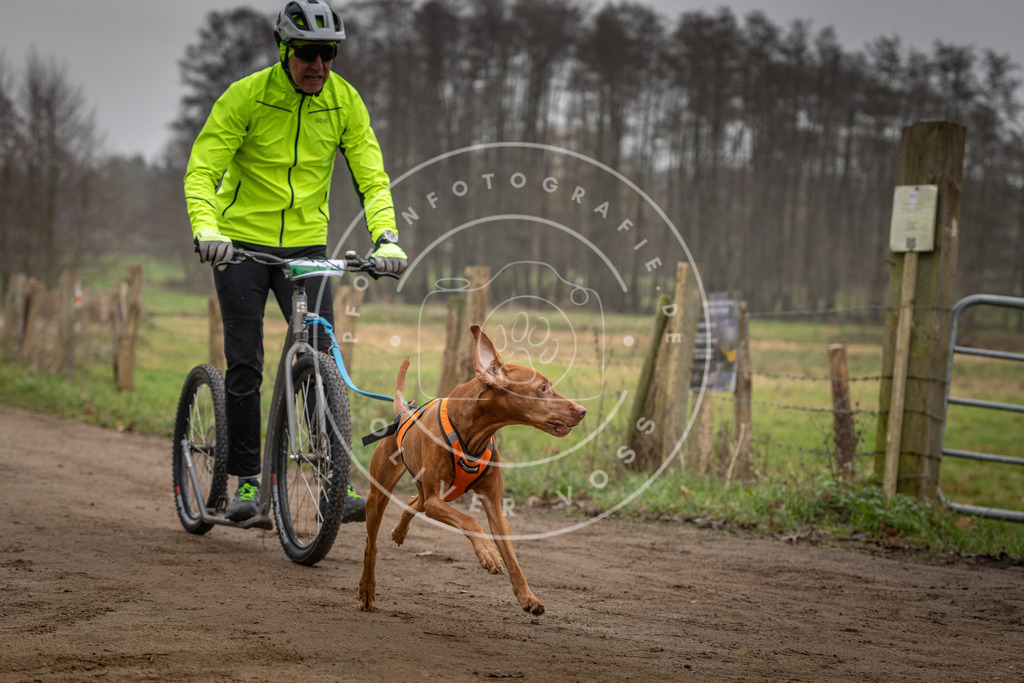 Pfotenfotografie_DV3A2667 | Hundefotografie, Tierfotograf, Pfotenfotografie, Fotoshooting Hund, Hunde Portrait, Hundesport, Hundeportraits, Heideshooting, Hunde, Sportfotograf, Hundefotograf, Turnierhundsport, THS,  - Realisiert mit Pictrs.com