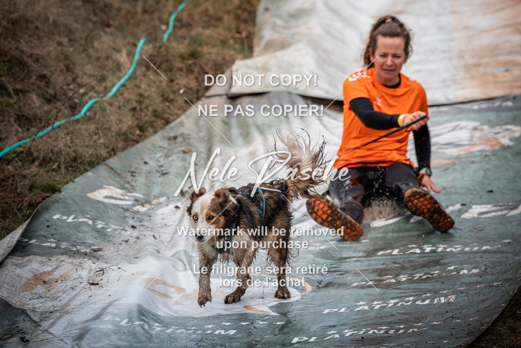 nelerasche_1330-1400_24 | nelerasche
