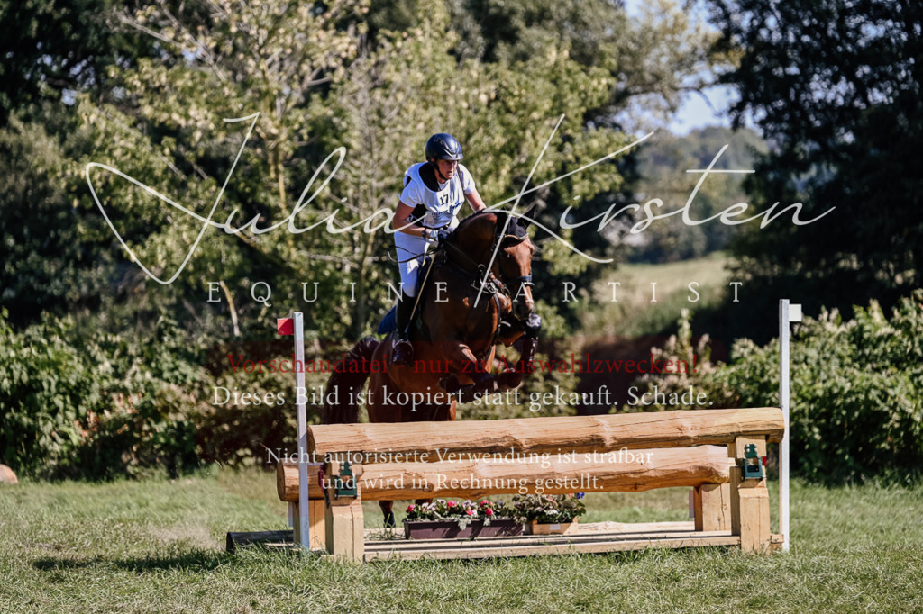 DSC_2008 | Pferde- und Turnierfotografie in Westsachsen. Pferdeportraits, Auftragszeichnungen und intuitive Kunst.