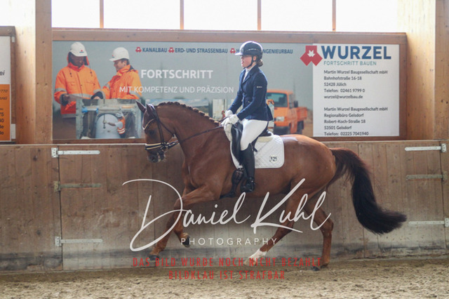 DKP44272 | Turniersportfotografie; Pferdefotografie; Dressurfotografie