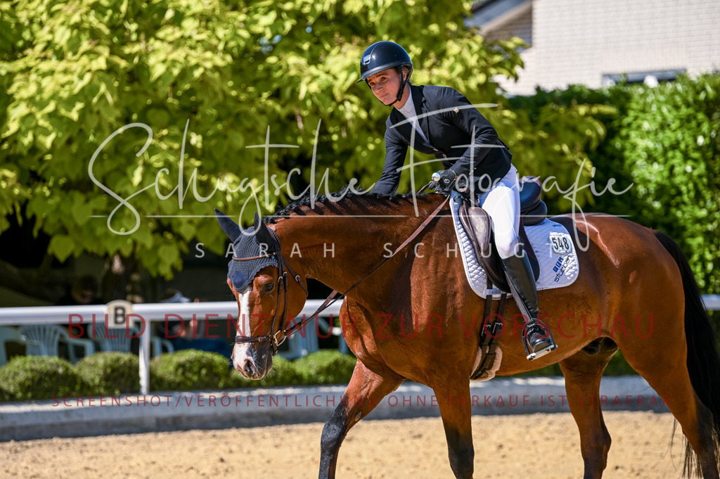 Schugtsche-Aluta25-50.Dressurpferdeprf.L-156 | Schugtsche Fotografie - Realisiert mit Pictrs.com