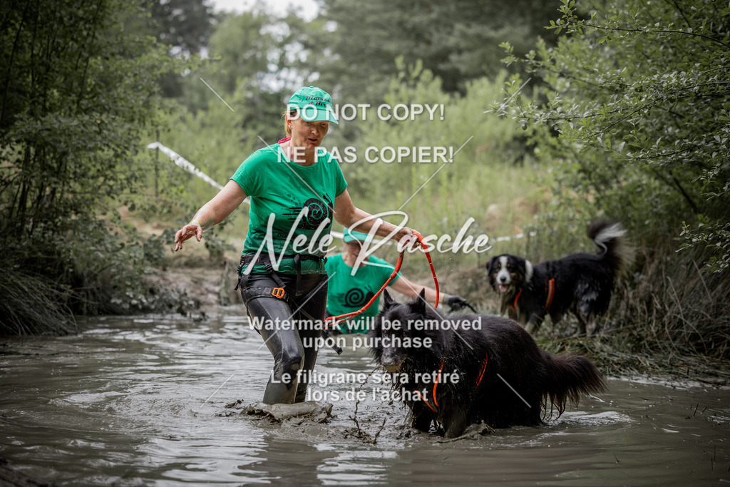 nelerasche_so0800-0930_366 | nelerasche
