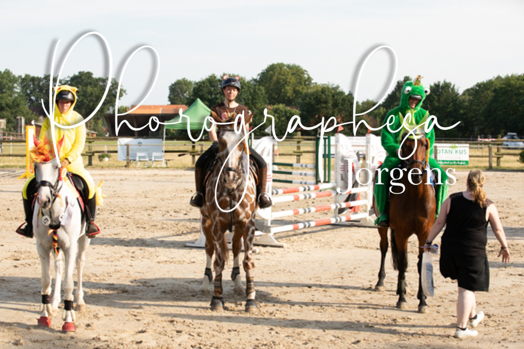 IMG_3715 | photographesa-joergens - Realisiert mit Pictrs.com