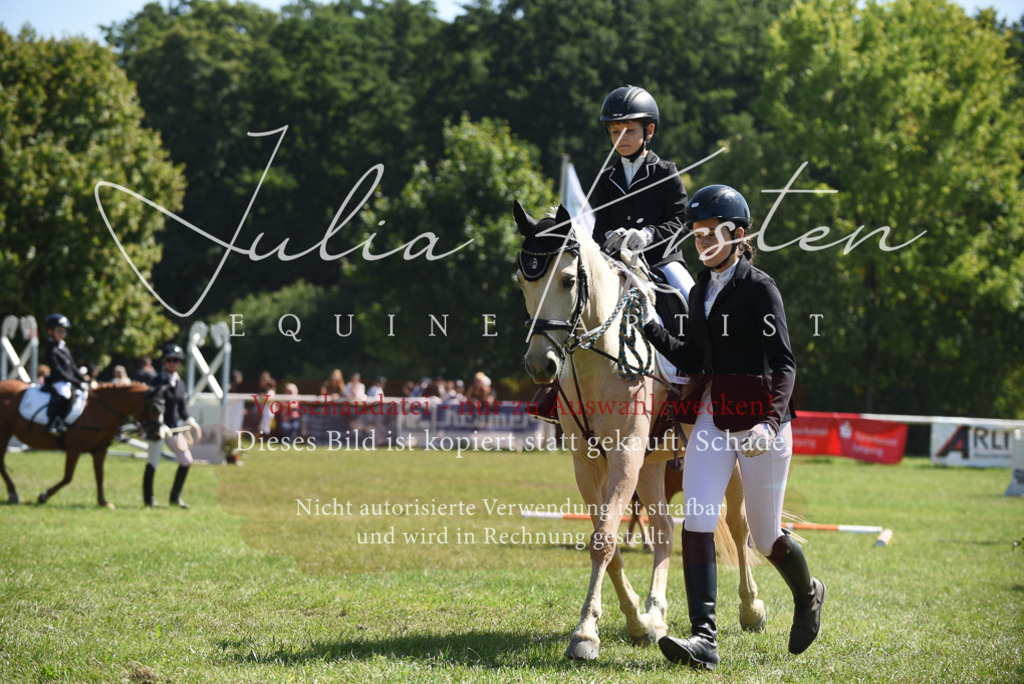 DSC_9721 | Pferde- und Turnierfotografie in Westsachsen. Pferdeportraits, Auftragszeichnungen und intuitive Kunst.