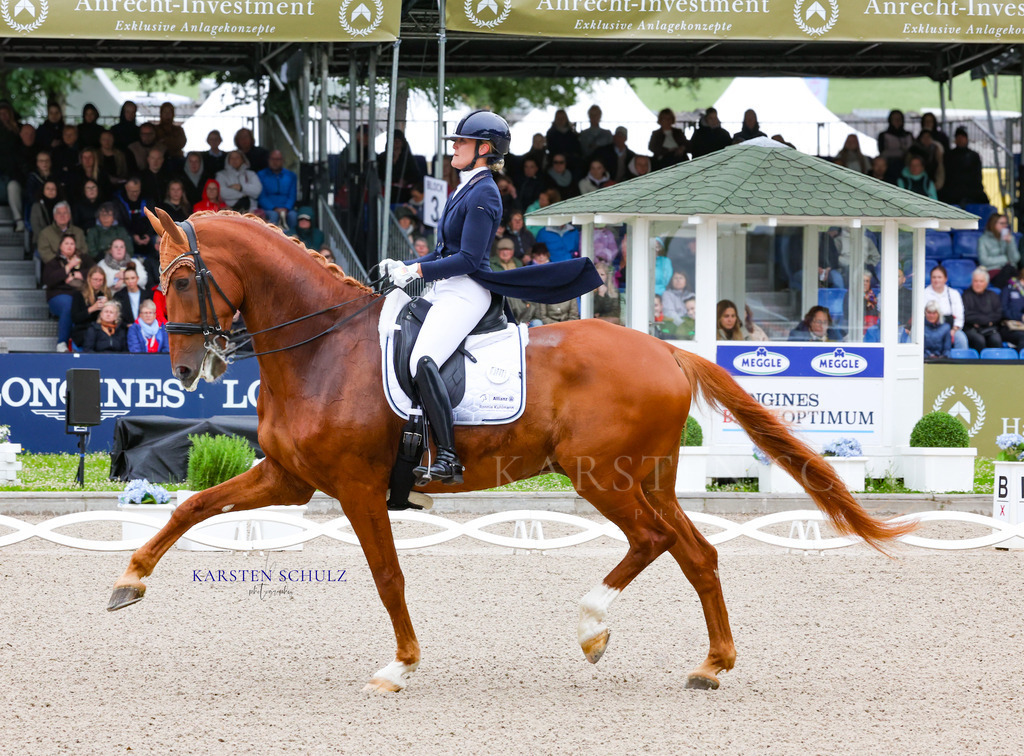1B3A7200 | Reitsport Reiten