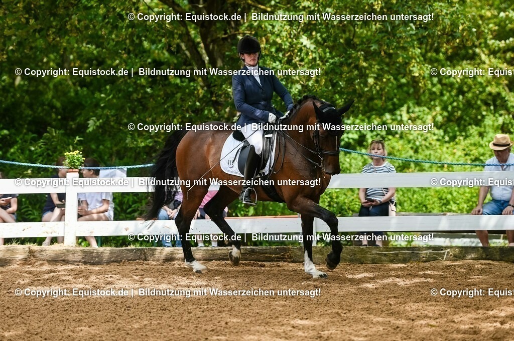 20230716_01_Dressurprüfung Kl.M_0173 | equistock