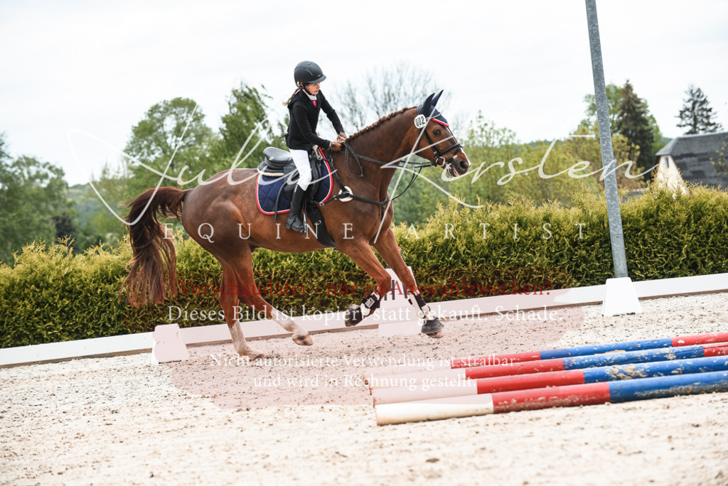 20230518_JK-Röhrsdorf-10-445 | Pferde- und Turnierfotografie in Westsachsen. Pferdeportraits, Auftragszeichnungen und intuitive Kunst.