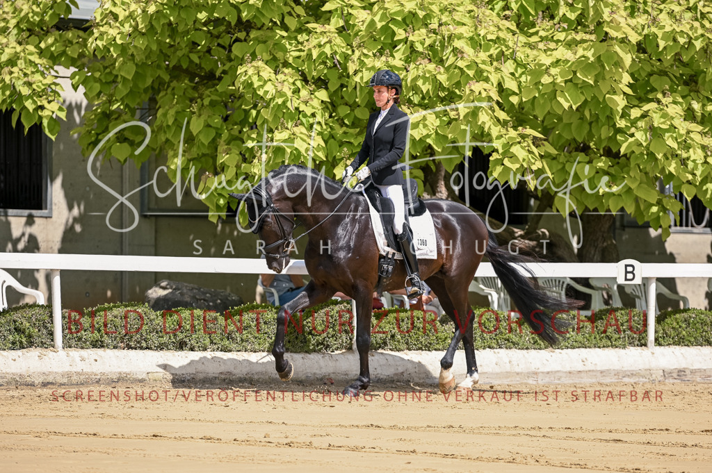 Schugtsche-Aluta25-48.Reitpferfdeprf.-71 | Schugtsche Fotografie - Realisiert mit Pictrs.com
