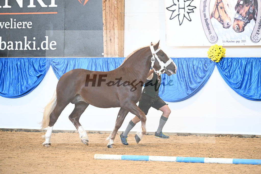 Kat-Nr. 44 nn v. Veroneser_Kotz_39250739 | hf-fotografie - Realizzato con Pictrs.com