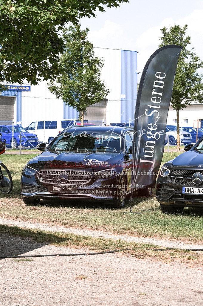 DSC_7053 | Pferde- und Turnierfotografie in Westsachsen. Pferdeportraits, Auftragszeichnungen und intuitive Kunst.