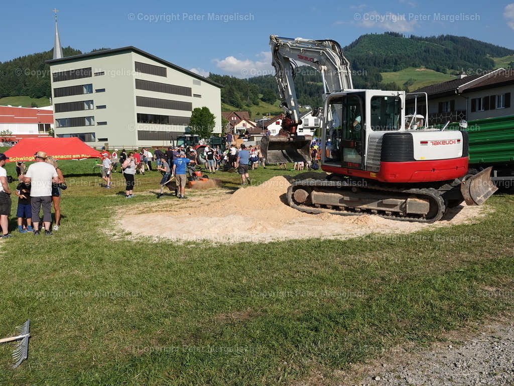 DSC04804 | Schwingen - Realisiert mit Pictrs.com
