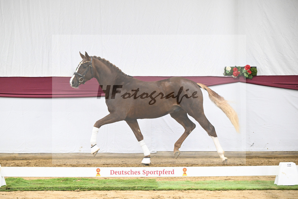 Kat-Nr. 64 Sky x Damsey_Heiko Klausing_47252332 | hf-fotografie - Realisiert mit Pictrs.com