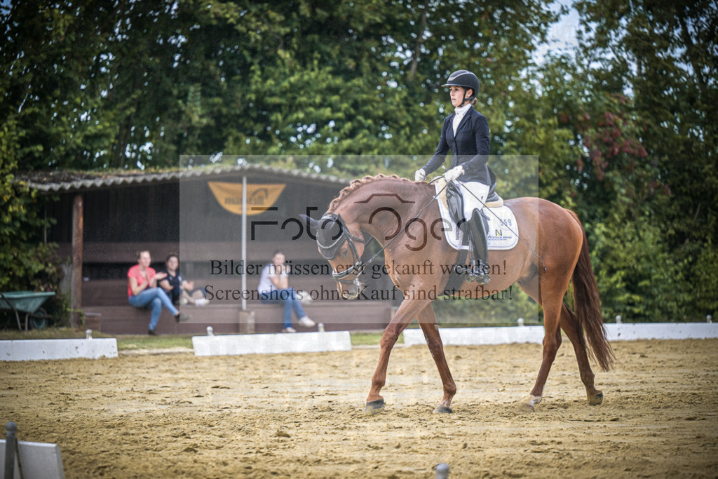 DOS_9478 | Entdecke hochwertige Reitturnierfotos von Foto Oger. Professionell, emotional und authentisch – jetzt Lieblingsmomente im Shop bestellen.Deutschlandweite Turnierfotografie. - Realisiert mit Pictrs.com