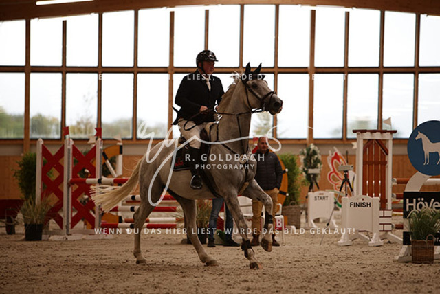 1J2A3373Christoph Maack_ Cello Blue_ Kn104_ Hohen Wieschendorf_ Glantz | Foto- und Videografie für alles rund ums Pferd. Hochwertige Bilder und Videos vom Spring- und Dressurreiten, Voltigieren & mehr. Jetzt aktuelle Veranstaltungen und Preise im Shop ansehen. - Realisiert mit Pictrs.com