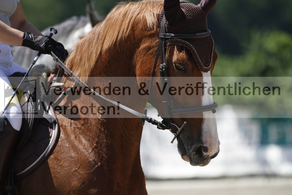 _MG_3765 | equestrian-live-com