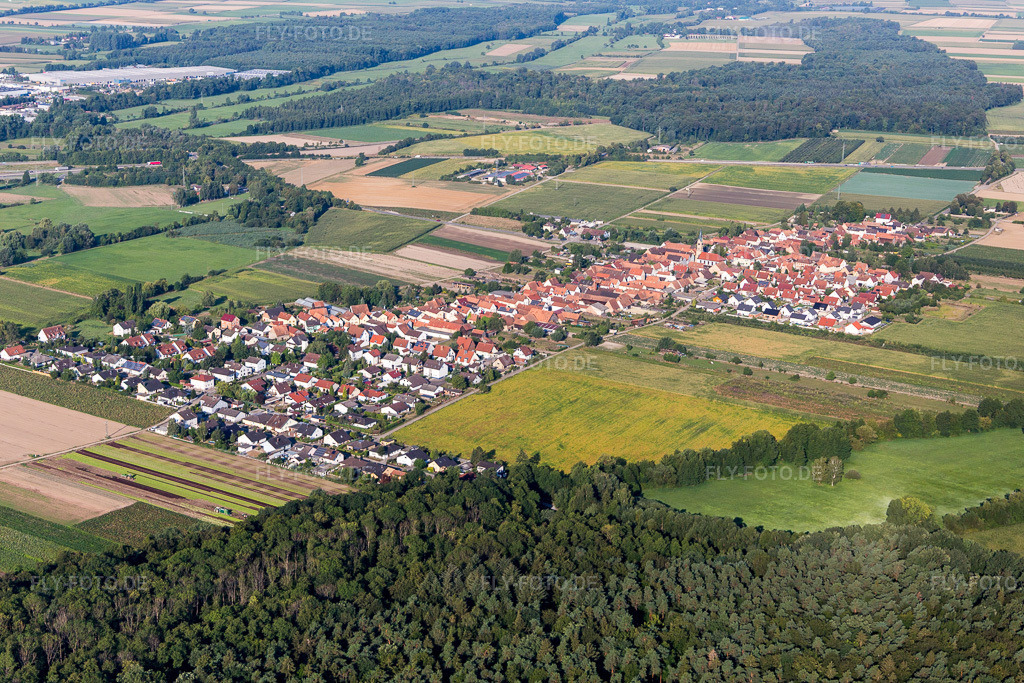 Luftbild: Ortsansicht von Nordosten in Erlenbach bei Kandel im Bundesland Rheinland-Pfalz in Deutschland. Foto: IMG_109630.jpg vom 31.07.2018 durch Werner Riehm/FLY-FOTO.de