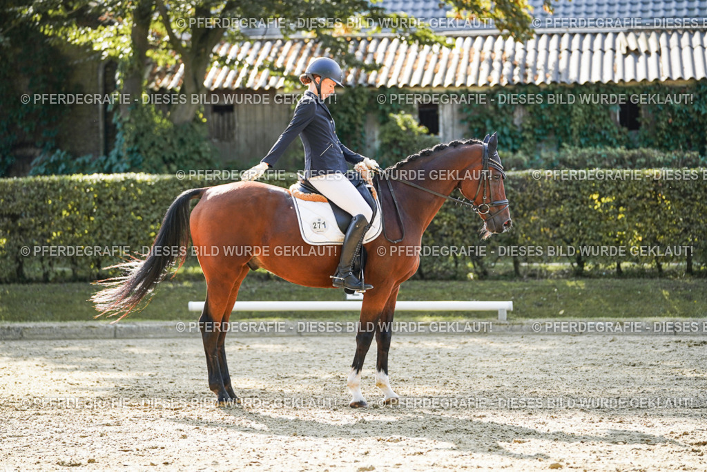 DSC06707 | Pferdegrafie