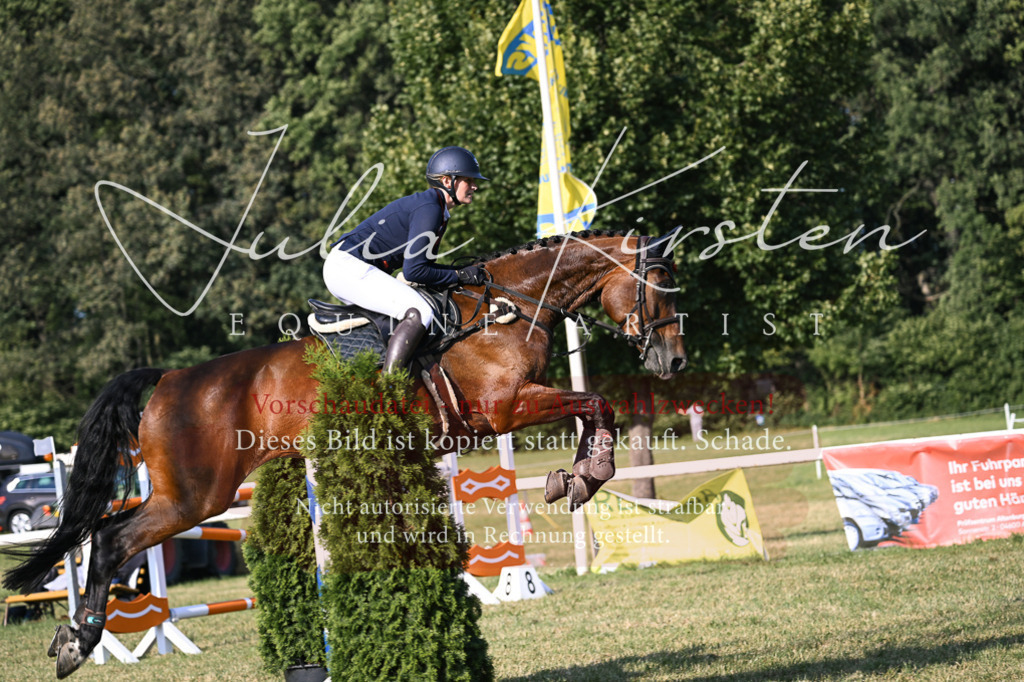 DSC_1652 | Pferde- und Turnierfotografie in Westsachsen. Pferdeportraits, Auftragszeichnungen und intuitive Kunst.