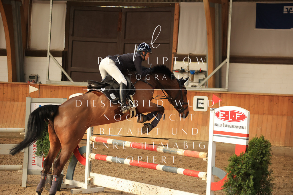 IMGT6386 | pl-fotografie