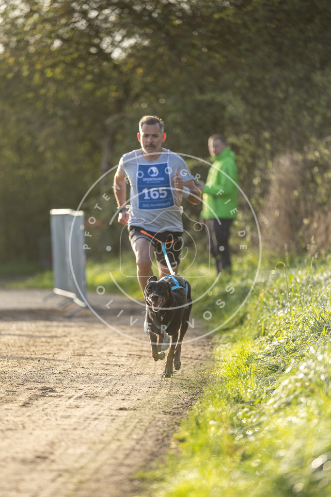 Pfotenfotografie.de_DV3A2650 | Hundefotografie, Tierfotograf, Pfotenfotografie, Fotoshooting Hund, Hunde Portrait, Hundesport, Hundeportraits, Heideshooting, Hunde, Sportfotograf, Hundefotograf, Turnierhundsport, THS, canicross - Realisiert mit Pictrs.com