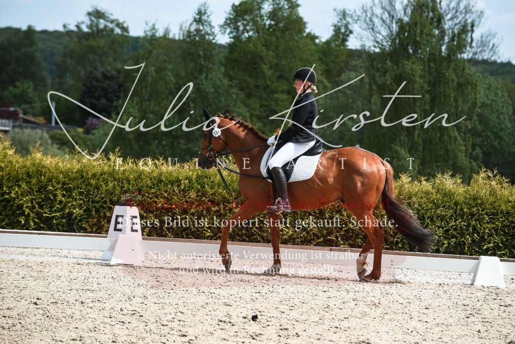 20230518_JK-Röhrsdorf-11-0610 | Pferde- und Turnierfotografie in Westsachsen. Pferdeportraits, Auftragszeichnungen und intuitive Kunst.
