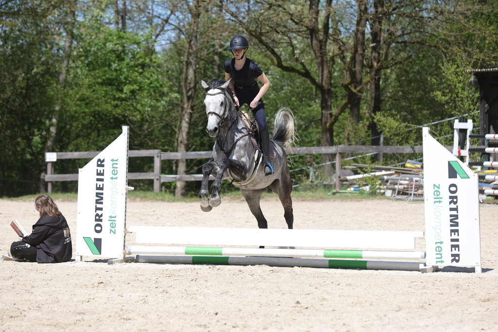 0P6A8829 | Willkommen bei Brunnmayr - Design & Fotografie – Ihrem Spezialisten für Reitturniere und Pferdeveranstaltungen in Oberösterreich, Salzburg und Bayern! Seit über 17 Jahren sind wir leidenschaftlich dabei.