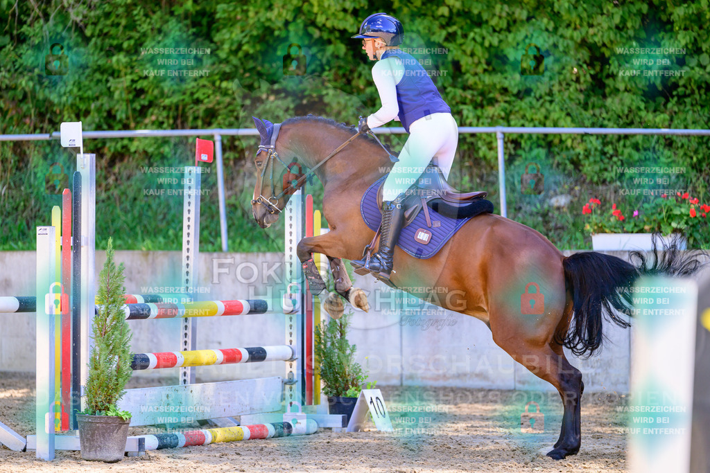 29082026-Giesenbach-Prfg10-0879 | Fokus Hufschlag Fotografie - Realisiert mit Pictrs.com