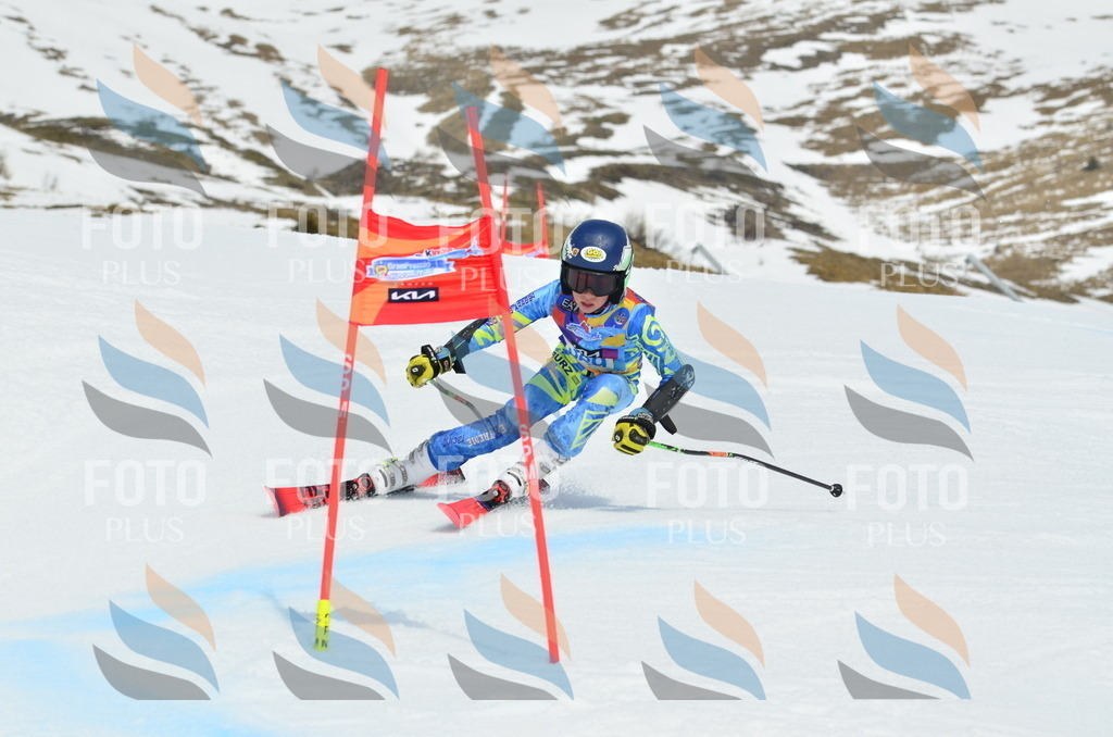 _ELE3004 | holidayphoto