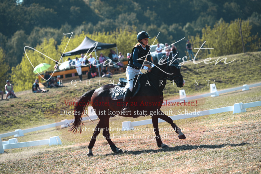 DSC_7944 | Pferde- und Turnierfotografie in Westsachsen. Pferdeportraits, Auftragszeichnungen und intuitive Kunst.