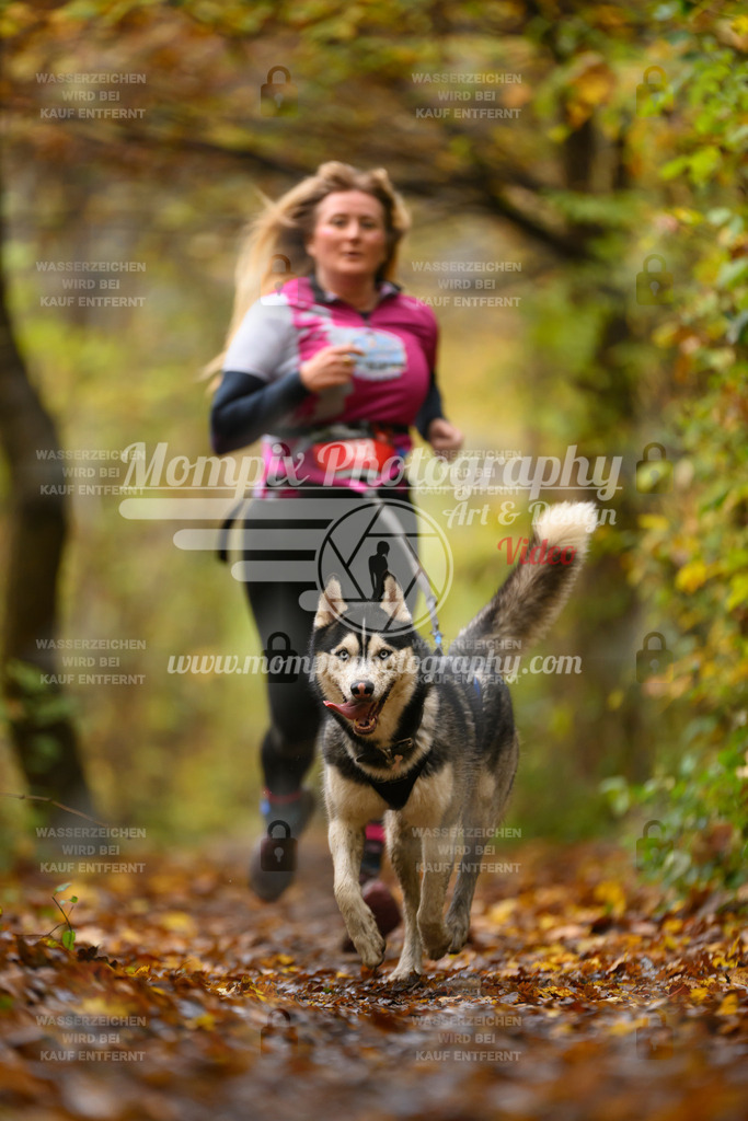 MompixPhotography_CD7S_DI_CCL-178 | mompixphotography