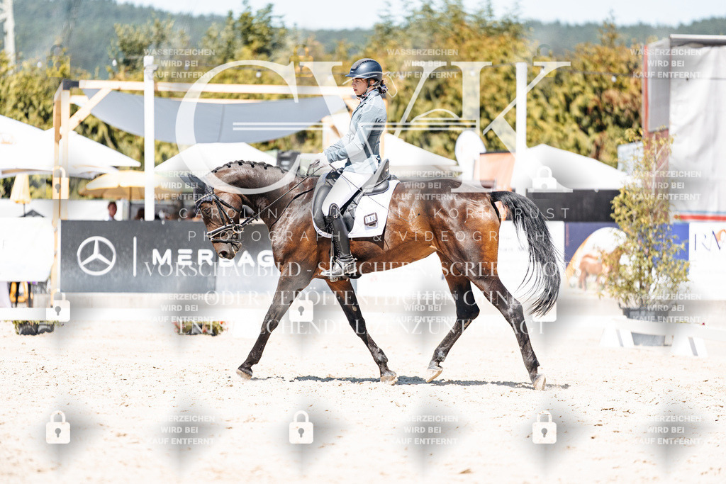CK900203 | Turnierfotografie Pferdefotografie Trier Rheinland-Pfalz Pferdesport Reitsport Tierfotografie Sportfotografie Pferdevideo Pferdevideografie Equestrianvideography equestrianphotography  - Realisiert mit Pictrs.com