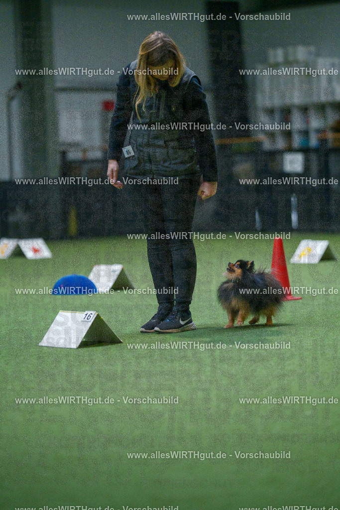 7R503557 | Professionelle Tierfotografie in Mönchengladbach von Daniel Wirth (allesWIRTHgut). Liebevolle & natürliche Bilder von Hunden & Katzen für unvergessliche Erinnerungen.