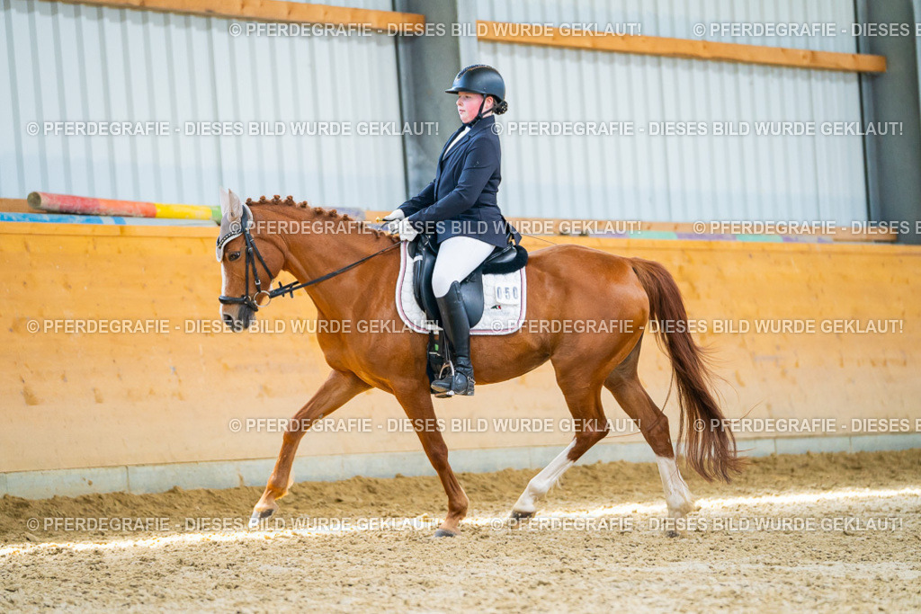 DSC08789 | Pferdegrafie