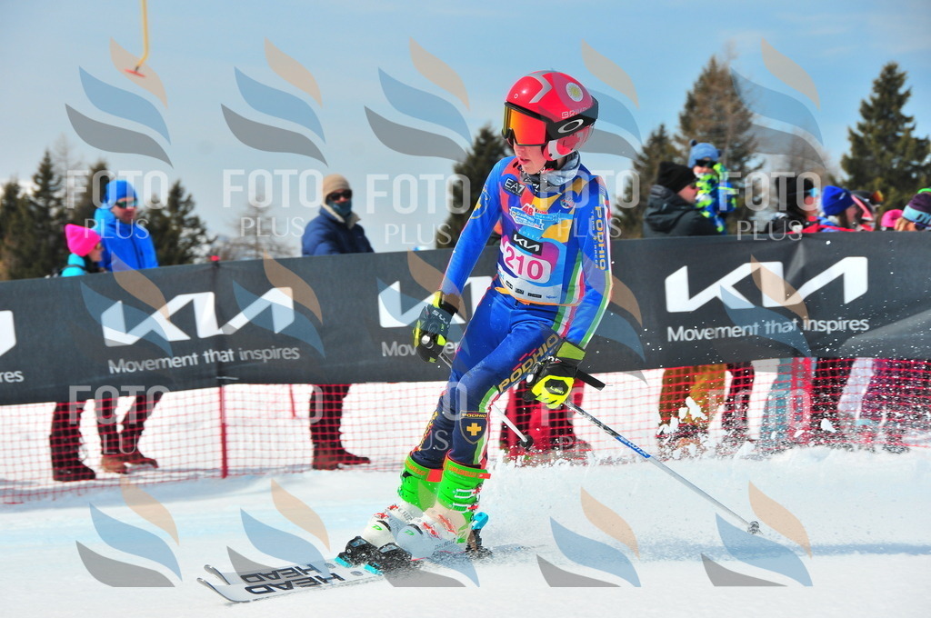 DSC_5672 | holidayphoto