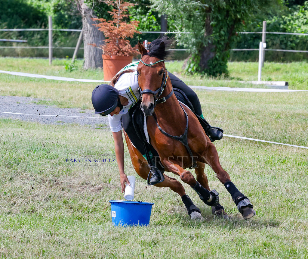 1B3A4332 | Reitsport Reiten