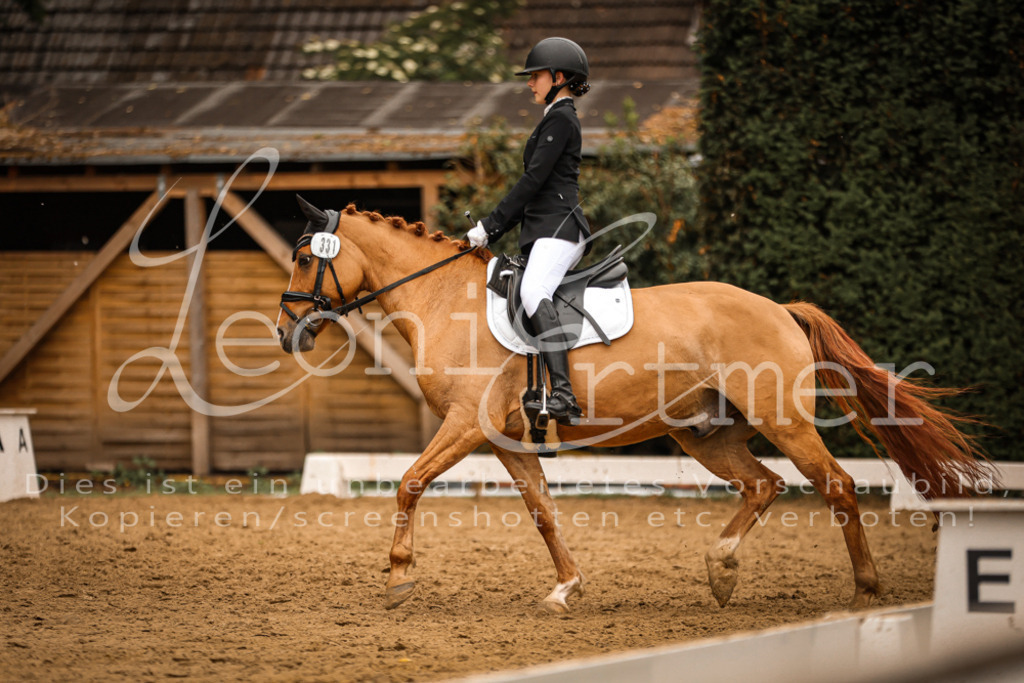 DoDrE00409 | Leoni Ertmer Photography - Realisiert mit Pictrs.com