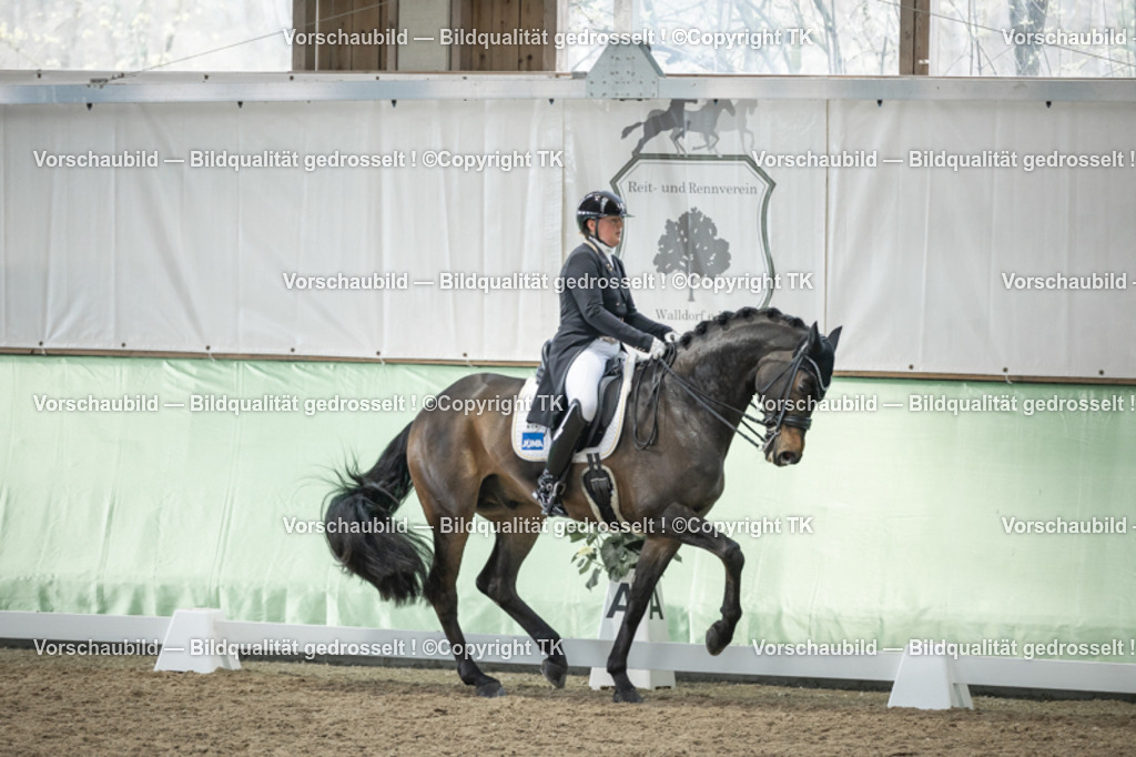 _D5A6065 | Emotionale Pferde- & People-Fotografie rund um Heidelberg, Leimen & Umgebung. Natürliche Fotos von Pferd, Mensch & Familie. Jetzt Termin sichern!