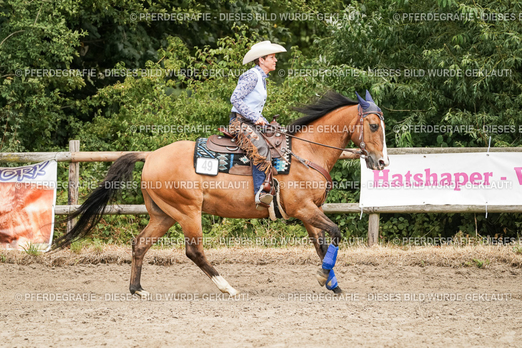 DSC09246 | Pferdegrafie