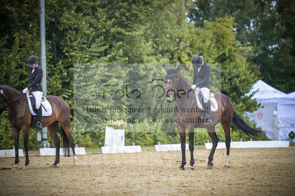 DOS_3646 | Entdecke hochwertige Reitturnierfotos von Foto Oger. Professionell, emotional und authentisch – jetzt Lieblingsmomente im Shop bestellen.Deutschlandweite Turnierfotografie. - Realisiert mit Pictrs.com