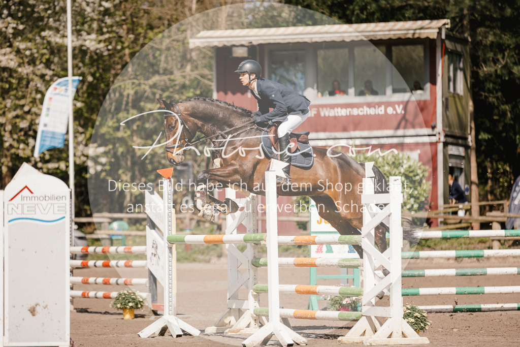 3I6A4069 | Stimmungsvolle Portraits und Reitsportfotografie im Ruhrgebiet und im Münsterland.

Pferdefotografie, Hundefotografie, Tierfotografie, Reportagen, Portraits von Tier und Mensch, Turnierfotografie in Bochum, Recklinghausen, Marl, Haltern am See, Dülmen.. - Realisiert mit Pictrs.com