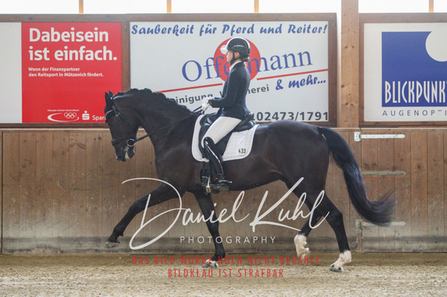 DKP43482 | Turniersportfotografie; Pferdefotografie; Dressurfotografie