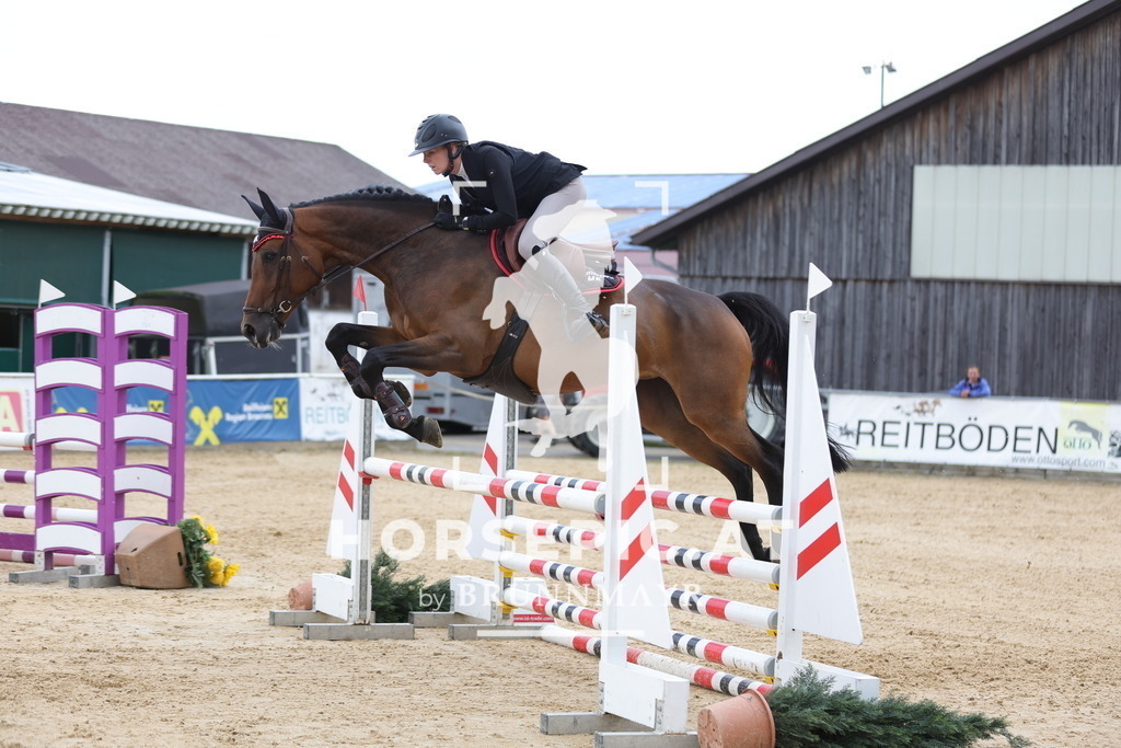 0P6A4689 | Willkommen bei Brunnmayr - Design & Fotografie – Ihrem Spezialisten für Reitturniere und Pferdeveranstaltungen in Oberösterreich, Salzburg und Bayern! Seit über 17 Jahren sind wir leidenschaftlich dabei.