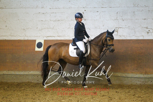 DKP44126 | Turniersportfotografie; Pferdefotografie; Dressurfotografie