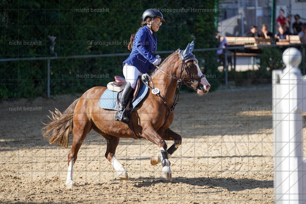 20240824-FAH07362 | Thierhaupten 2024, Bayerisches Landesponyturnier, Turnierbilder, Ponybilder, Turnierfotografen Bayern, Fotoagentur Herrmann