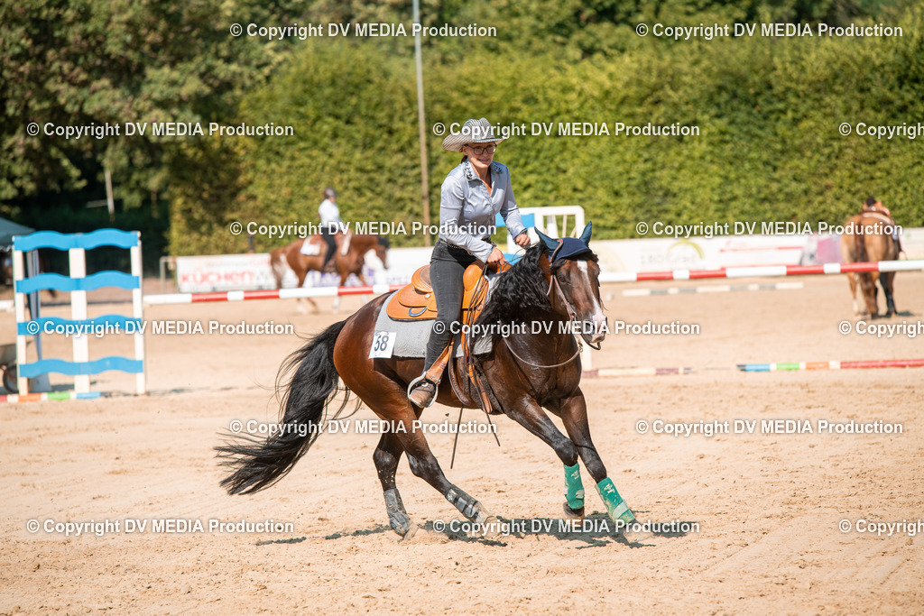 ZS2_8794 | dv-media-shop - Realisiert mit Pictrs.com